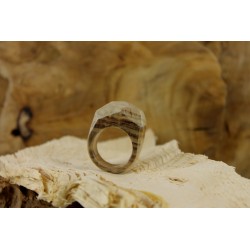 Wood Ring