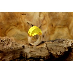 Yellow Ring - Gemini